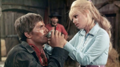 Imagen de El hombre del sur - 5