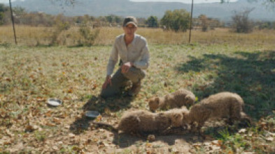 Imagen de Dra. Fabiola Jones (T1): Los héroes invisibles - 5