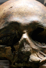 Imagen de 600 años sin descanso. El Papa Luna - 4