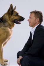 Imagen de Rex, un policía... (T13): Ep.2 Centauro - 4