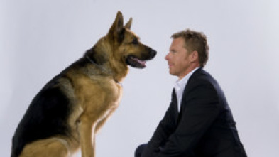 Imagen de Rex, un policía... (T13): Ep.4 Mi banda toca el rock - 5