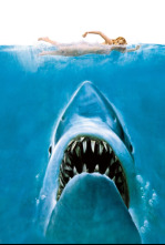 Imagen de Tiburón - 5