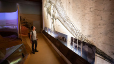 Imagen de El cazador de dinosaurios  - 7