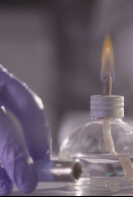 Imagen de Víctimas del misterio - 4