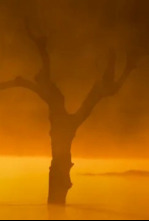 Imagen de Las aves del frío - 4