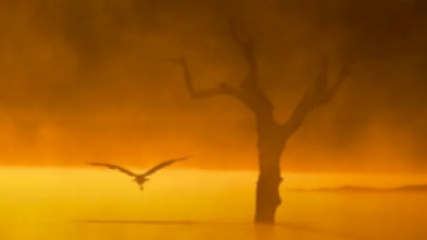 Imagen de Las aves del frío - 5