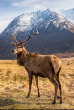 Imagen de Europa indómita: Montañas - 5