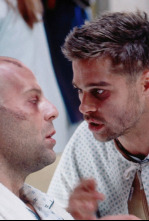 Imagen de 12 monos - 4