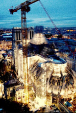 Imagen de Notre-Dame Résurrection - 4