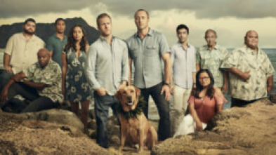 Imagen de Hawai 5.0 (T9): Ep.14 Ikiiki i ka la o Keawalua (Decaído por el calor de Keawalua) - 5