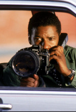 Imagen de El informe pelícano - 4