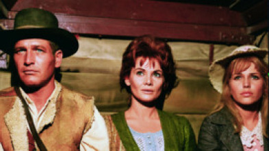 Imagen de Un hombre - 5