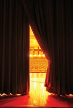 Imagen de Teatre A Punt - 4