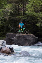 Imagen de Ara salvaje - 4