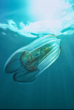 Imagen de Wild Argentina: Tierra de agua - 6