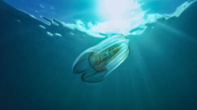 Imagen de Wild Argentina  - 6