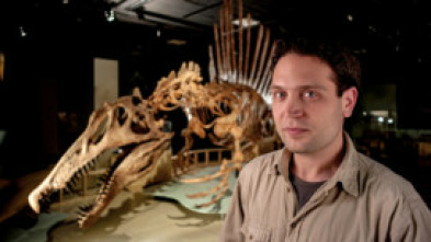 Imagen de Las diez bestias más grandes del mundo - 7