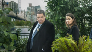 Imagen de Blue Bloods... (T6): Ep.9 Falta de colaboración - 5