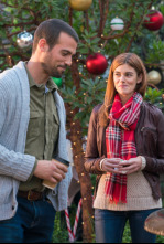 Imagen de La fuente de los deseos - 4