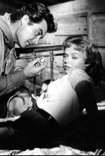 Imagen de La saga de Hemp Brown - 4