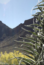 Imagen de Pequeño gran volcán - 4