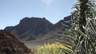 Imagen de Pequeño gran volcán - 5