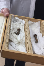 Imagen de El ADN de Jesucristo - 4