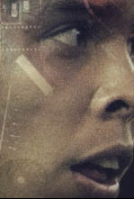 Imagen de Todos los goles de Ronaldo Nazario en LaLiga - 4