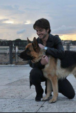 Imagen de Rex, un policía... (T14): Ep.10 El tercer hombre - 4