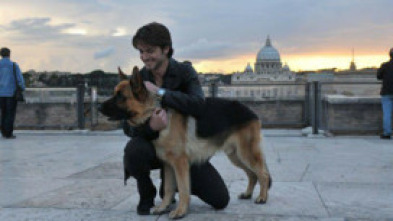 Imagen de Rex, un policía... (T14): Ep.2 En medio de los lobos - 5