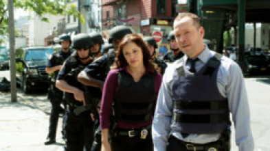 Imagen de Blue Bloods... (T6): Ep.17 Amigos que necesitan ayuda - 5