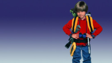 Imagen de Solo en casa 3 - 5