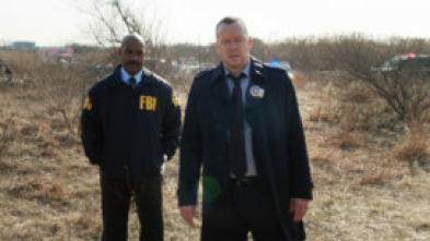 Imagen de Blue Bloods... (T6): Ep.20 Adentrándose en lo desconocido - 5