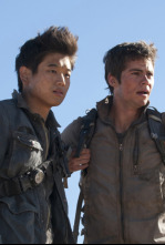 Imagen de El corredor del laberinto: Las pruebas - 4