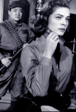 Imagen de Callejón sangriento - 4