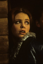 Imagen de Operación Reno - 4