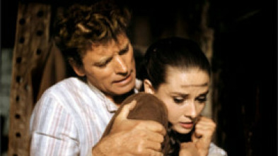 Imagen de Os que non perdoan - 5