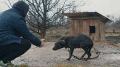 Imagen de Buscant la Nika - 5