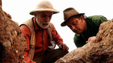 Imagen de Sota terra (T1): Balaguer: una ciutat musulmana per descobrir - 5