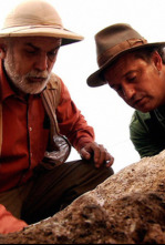 Imagen de Sota terra (T1): Caldes de Montbui: 2.000 anys de termal - 4