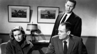 Imagen de Falso culpable - 13