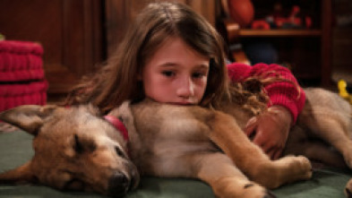 Imagen de El secret de Vicky - 5