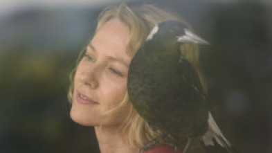 Imagen de La familia Bloom - 5