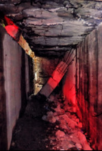 Imagen de Hitler: Las cintas...: El ascenso - 5