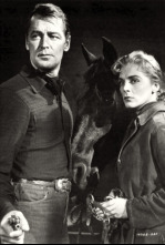 Imagen de Sólo una bandera - 4