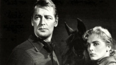 Imagen de Sólo una bandera - 5