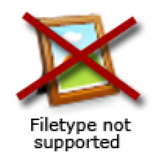 Imagen de Blue Bloods (Familia de policías) (T7) - 1