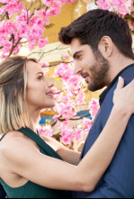 Imagen de Un pincel enamorado - 4