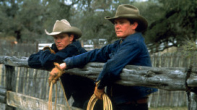 Imagen de Tots els cavalls bonics - 5