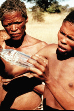 Imagen de Los dioses deben estar locos - 4